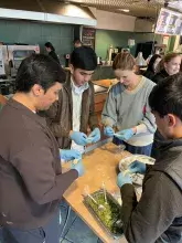 Pierogi workshops - EU Food Law
